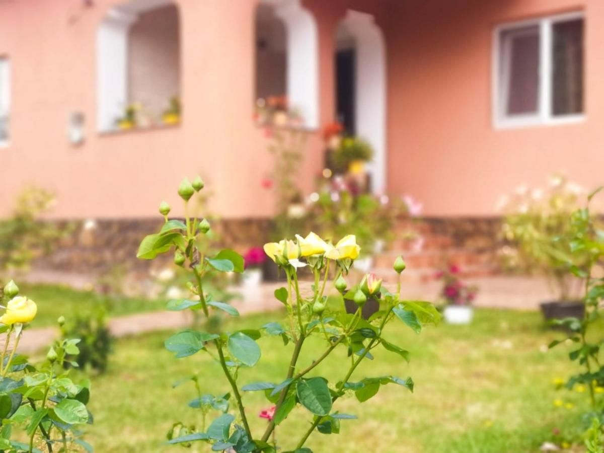Гостевой дом Casa Andra Байя-де-Фьер-47